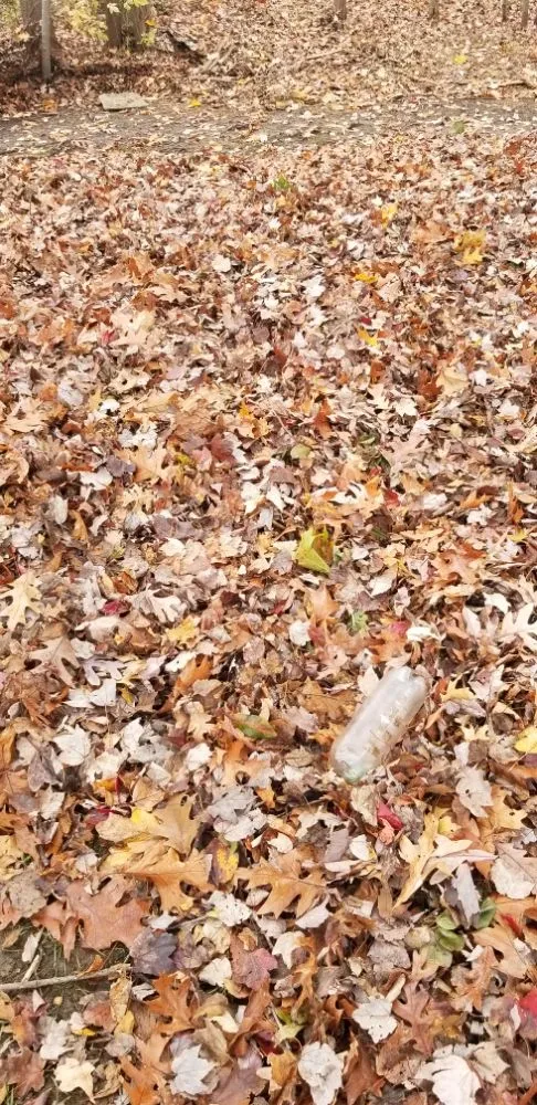 Top-rated residential landscaping in West Haven, CT - RoMa General Landscaping