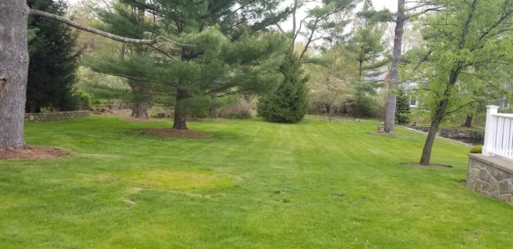 Top-rated yard maintenance experts serving West Haven, CT - RoMa General Landscaping