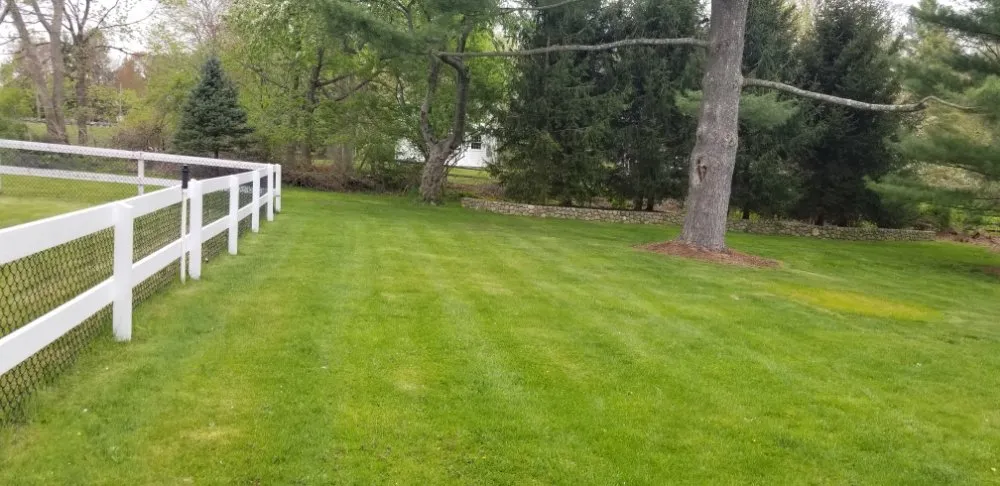 Professional lawn care service for residential properties across West Haven, CT - RoMa General Landscaping