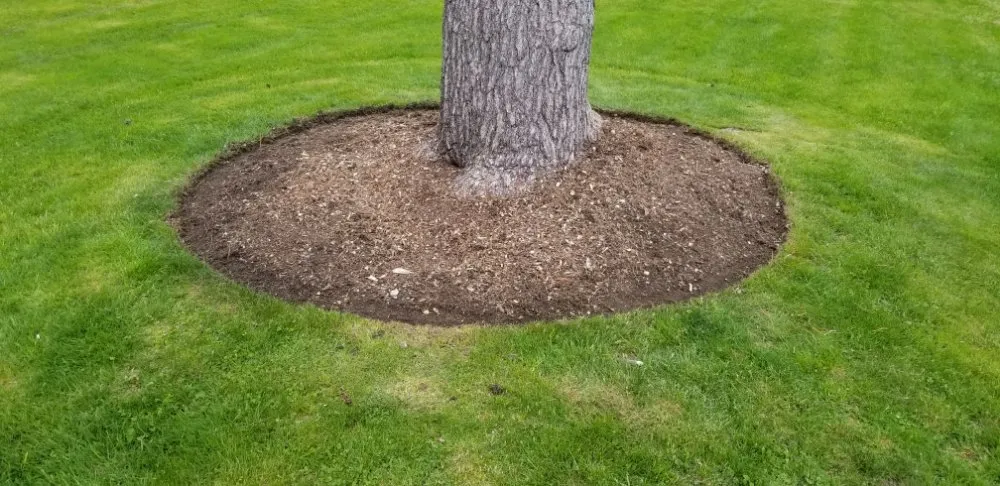 Custom landscaping services for residential properties across West Haven, CT - RoMa General Landscaping