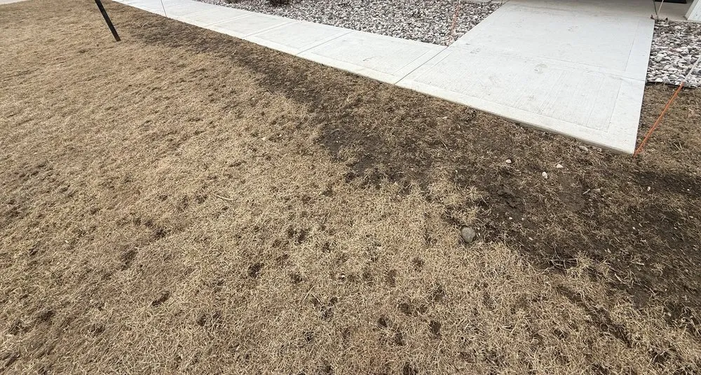 Local outdoor landscaping in Brown Deer, WI - Roma Landscaping