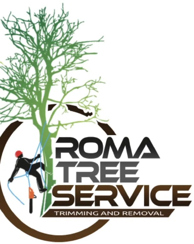 Trusted landscape design near you in Waco, TX by Roma Tree Service