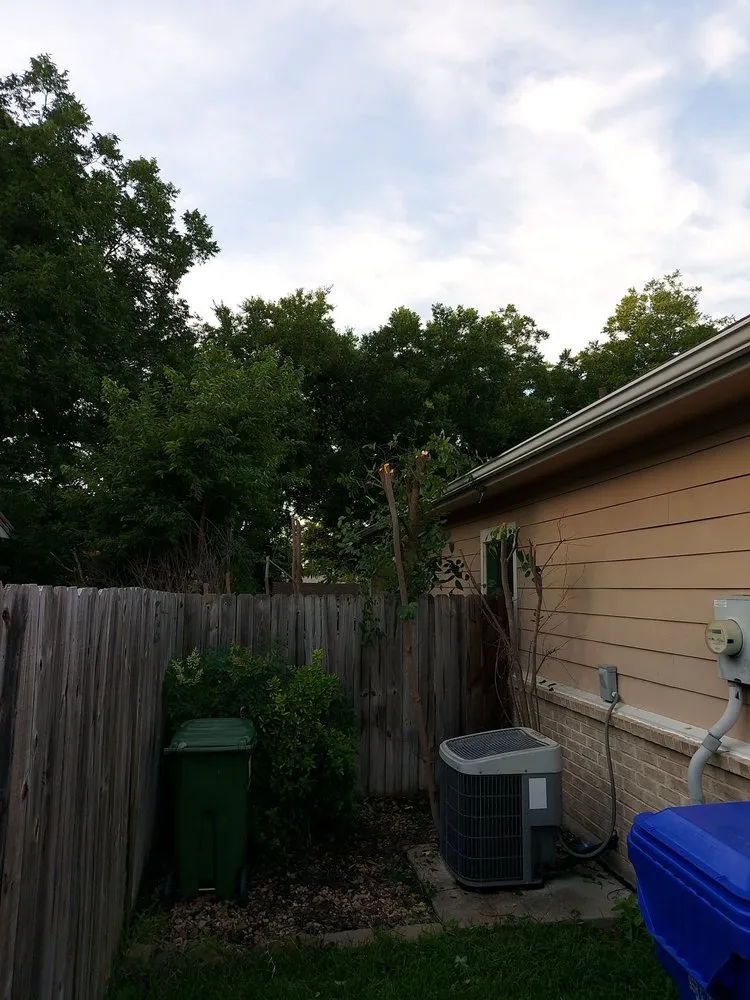 Affordable landscape design in Waco, TX by Roma Tree Service