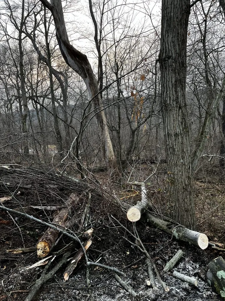 Reliable residential landscaping for residential properties across Butler, PA - Roman Adams Remodeling and Landscaping