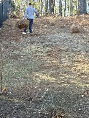 Roman Anicasio Abk Landscaping Logo