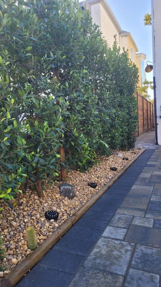 Professional landscape installation experts serving Lake Forest, CA - Roman Construction and Landscaping