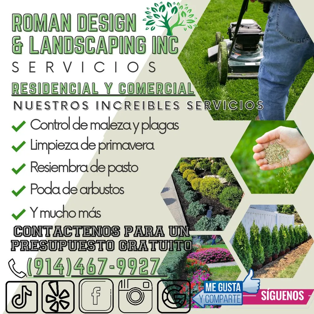 Top-rated outdoor landscaping in White Plains, NY - Roman Design & Landscaping