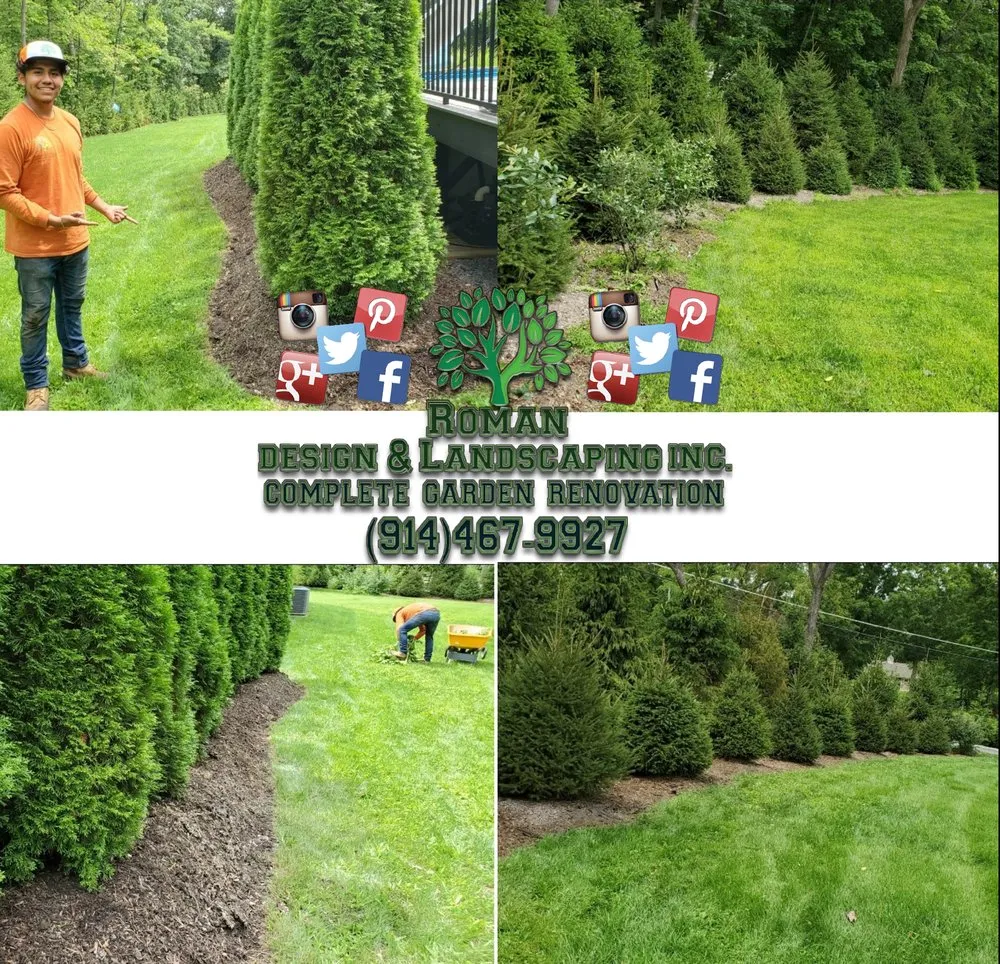 Local yard cleanup service for beautiful yards in White Plains, NY by Roman Design & Landscaping