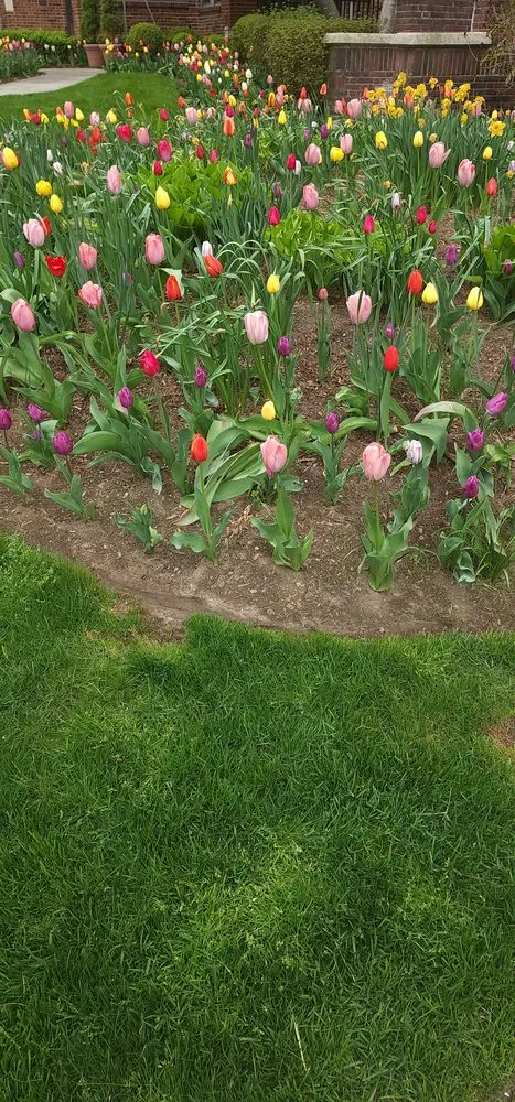 Local residential landscaping for outdoor upgrades across White Plains, NY - Roman Design & Landscaping