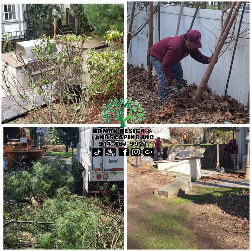 Affordable landscaping services experts serving White Plains, NY - Roman Design & Landscaping