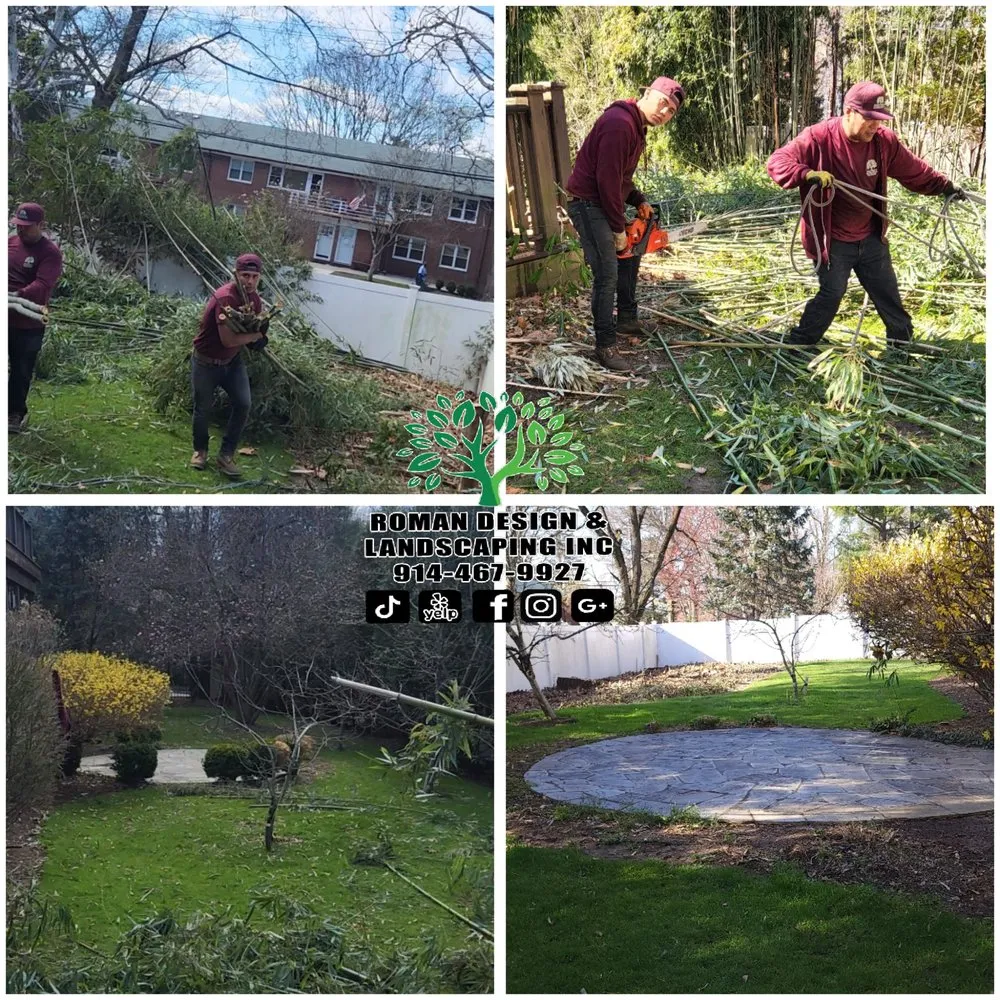 Professional lawn care service in White Plains, NY by Roman Design & Landscaping