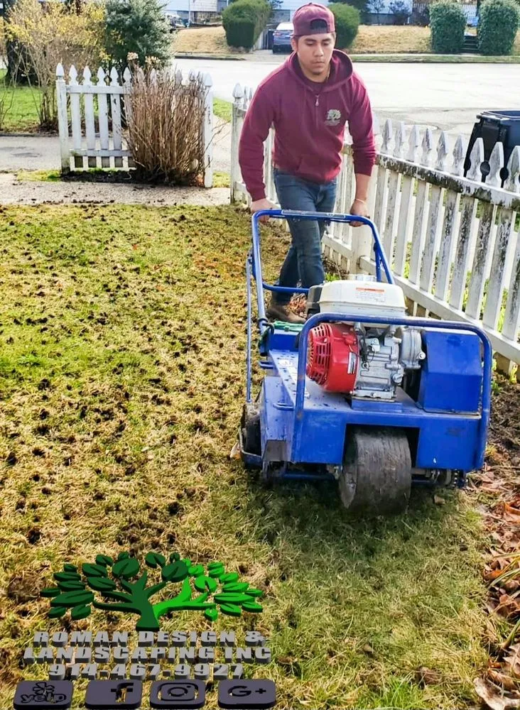 Expert yard maintenance experts serving White Plains, NY - Roman Design & Landscaping