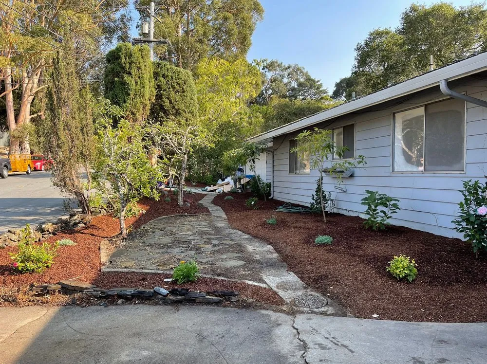 Top-rated lawn care service for residential properties across East Palo Alto, CA - Roman Landscape