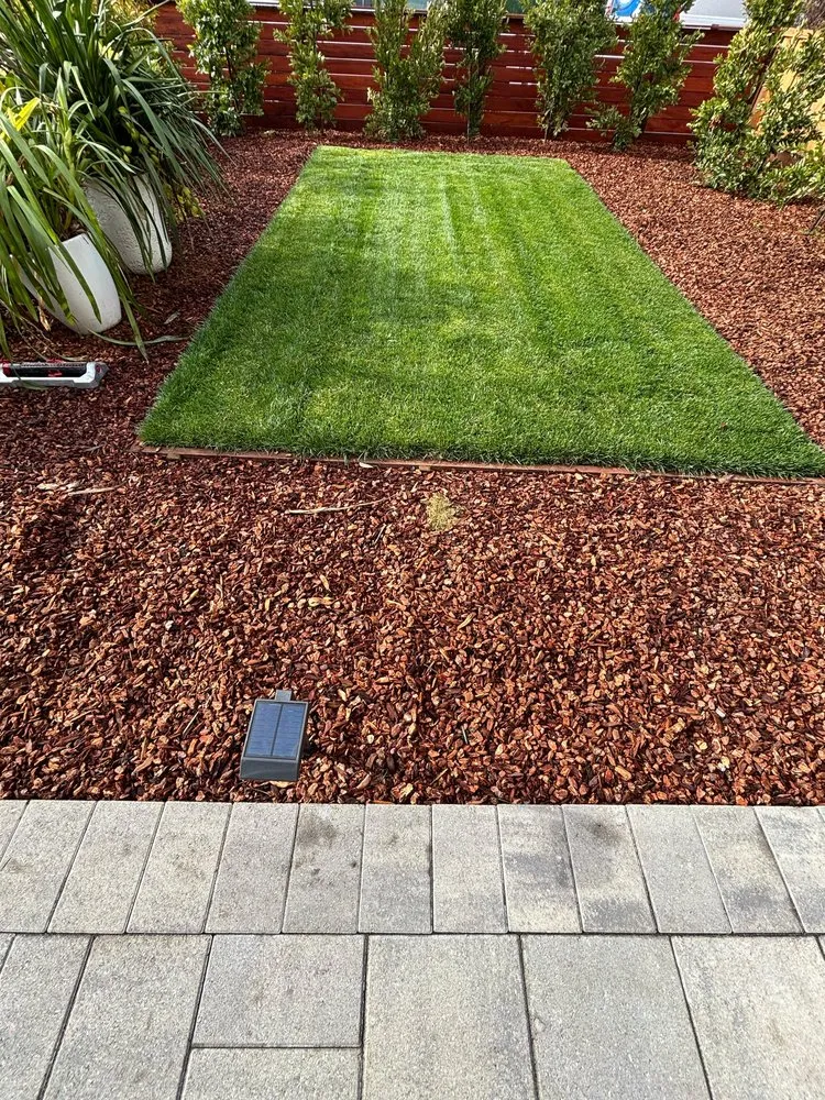 Reliable residential landscaping experts serving East Palo Alto, CA - Roman Landscape