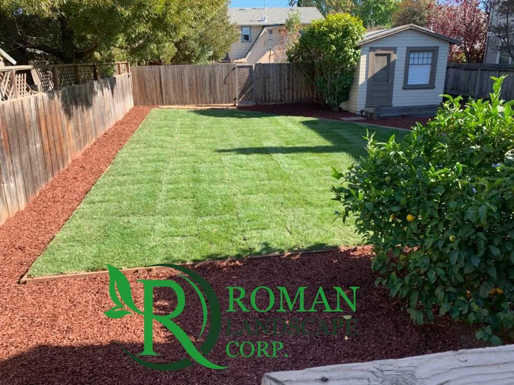 Affordable landscape installation experts serving East Palo Alto, CA - Roman Landscape