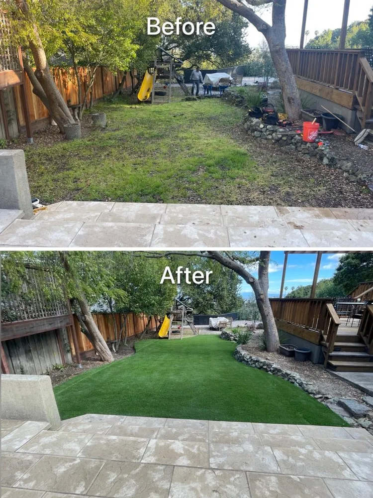Professional yard cleanup service in East Palo Alto, CA by Roman Landscape