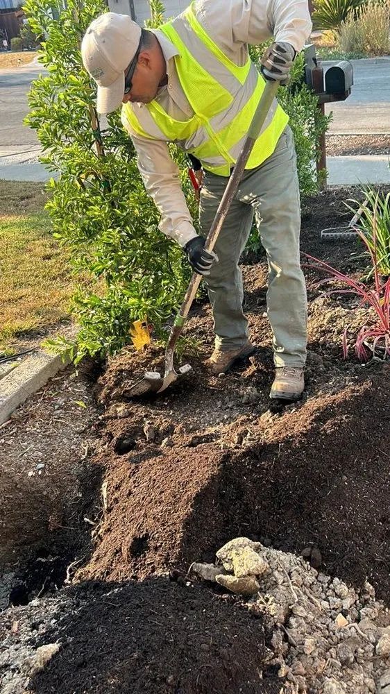 Top-rated yard maintenance in East Palo Alto, CA by Roman Landscape