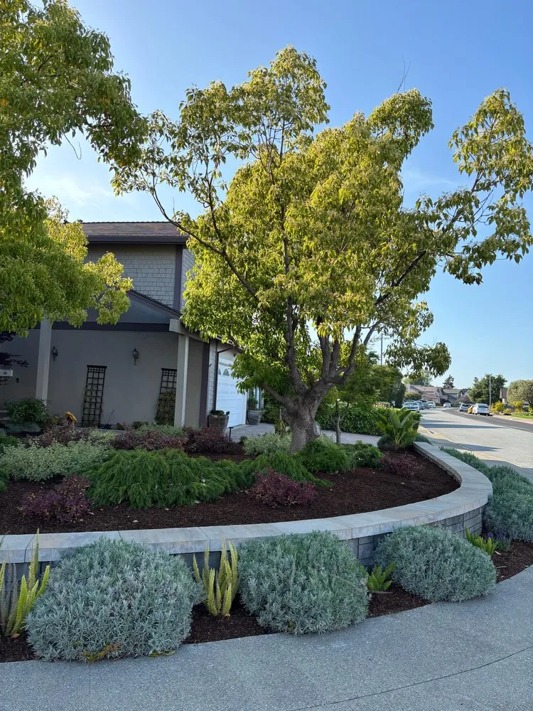 Trusted outdoor landscaping in East Palo Alto, CA by Roman Landscape