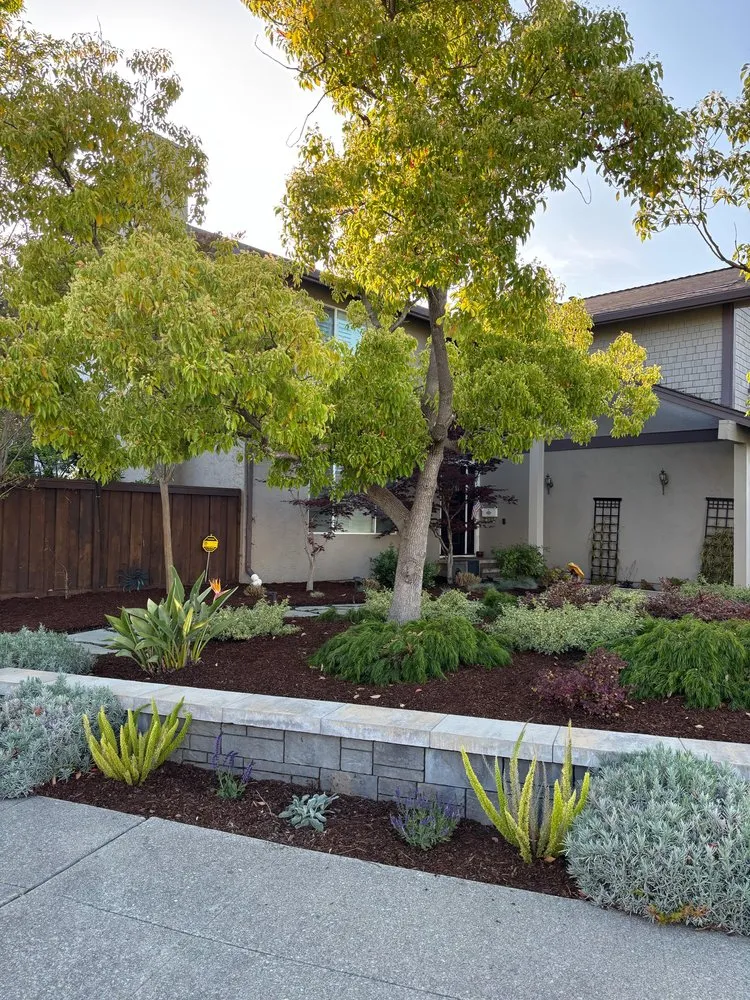 Top-rated lawn care service in East Palo Alto, CA - Roman Landscape