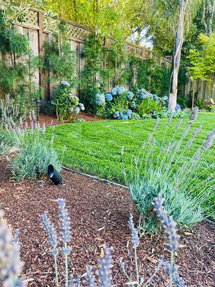 Trusted landscape design for outdoor upgrades in East Palo Alto, CA by Roman Landscape