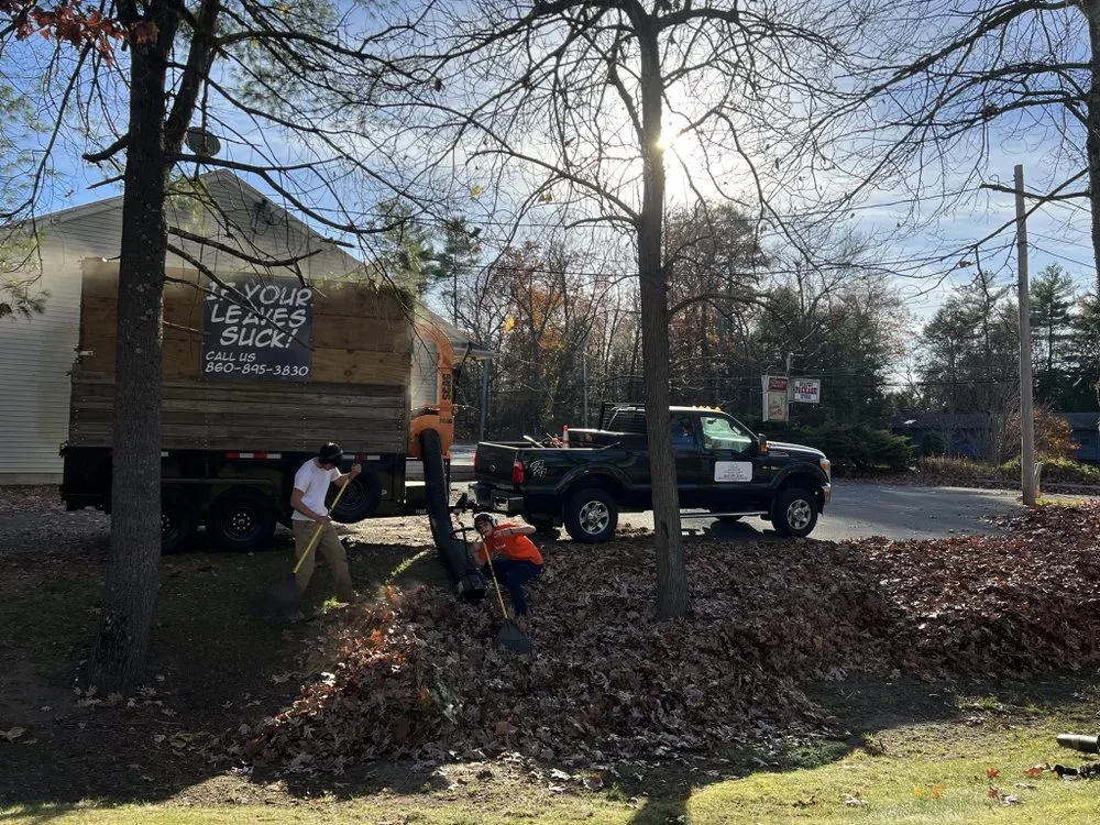 Local yard cleanup service for residential properties in Granby, CT by Roman Landscaping, LLC