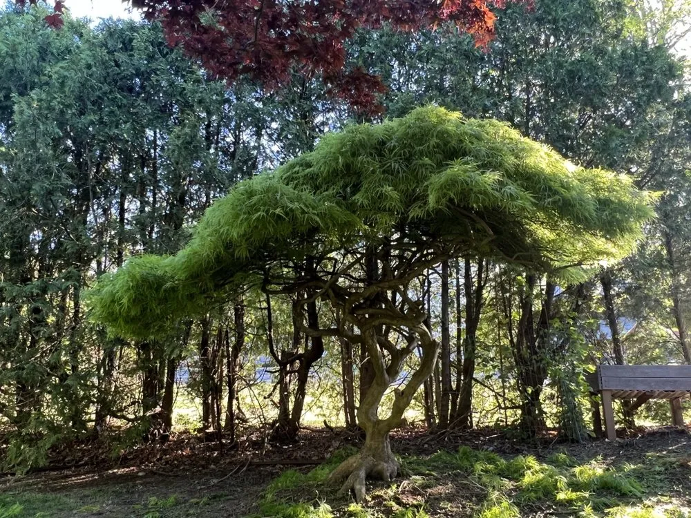 Expert landscape design in Granby, CT - Roman Landscaping, LLC