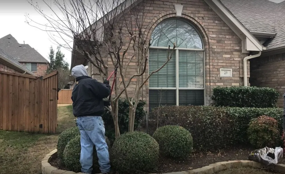 Custom residential landscaping in The Colony, TX - Roman Lawn and Landscaping