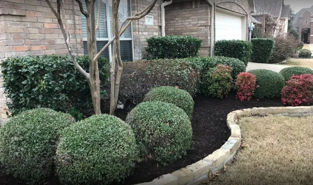 Trusted residential landscaping in The Colony, TX - Roman Lawn and Landscaping