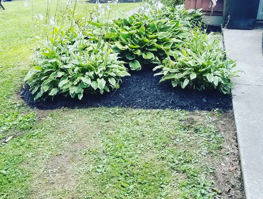 Local landscaping services in Hiram, OH by Roman Oak Lawn Service