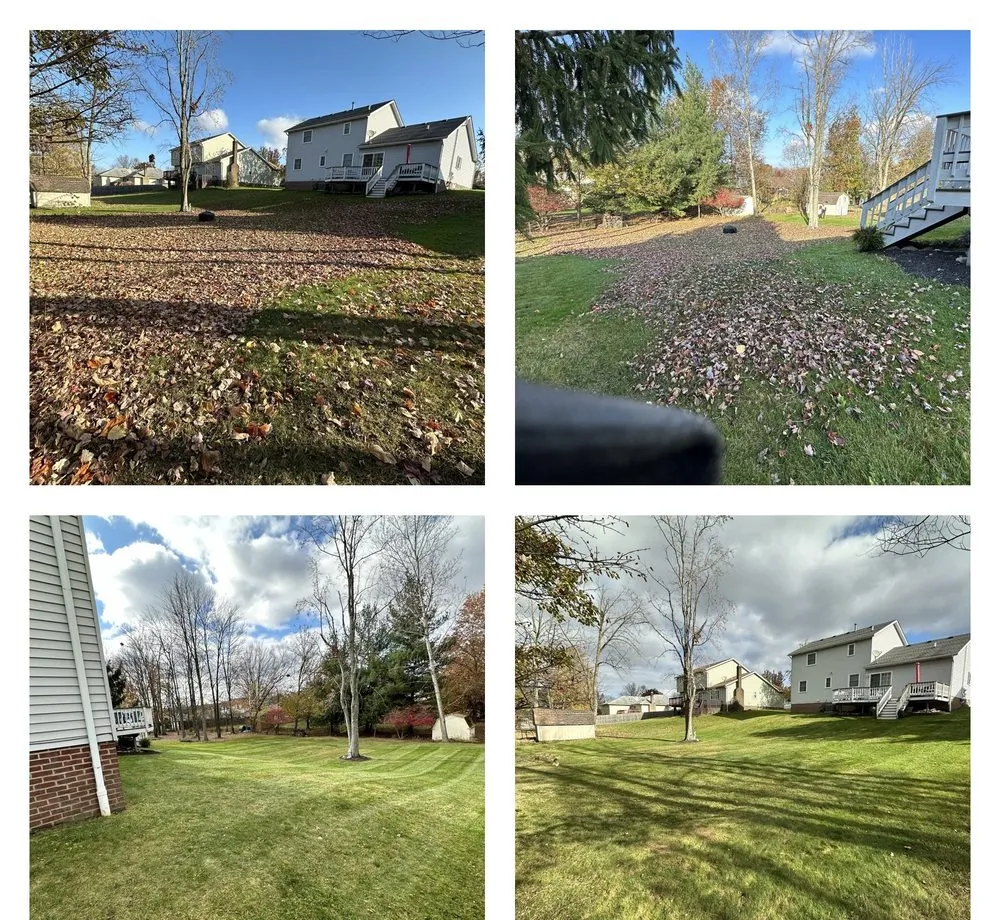 Affordable landscaping services in Parma Heights, OH by Roman Scapes