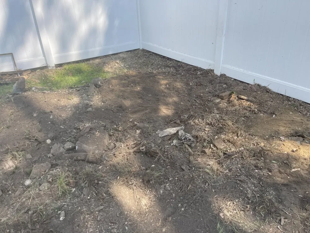 Expert lawn care service in Boston, MA - Roman Tree Services