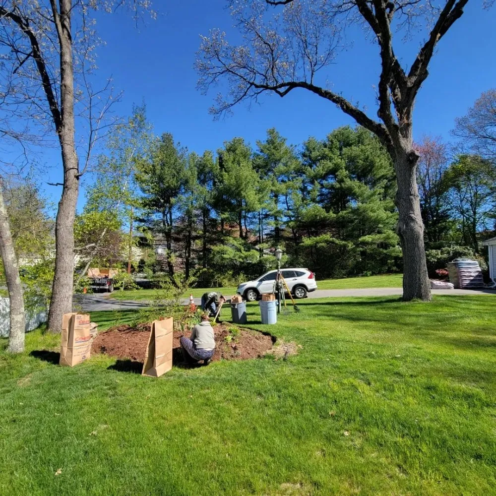 Reliable landscape design for residential properties across Boston, MA - Roman Tree Services