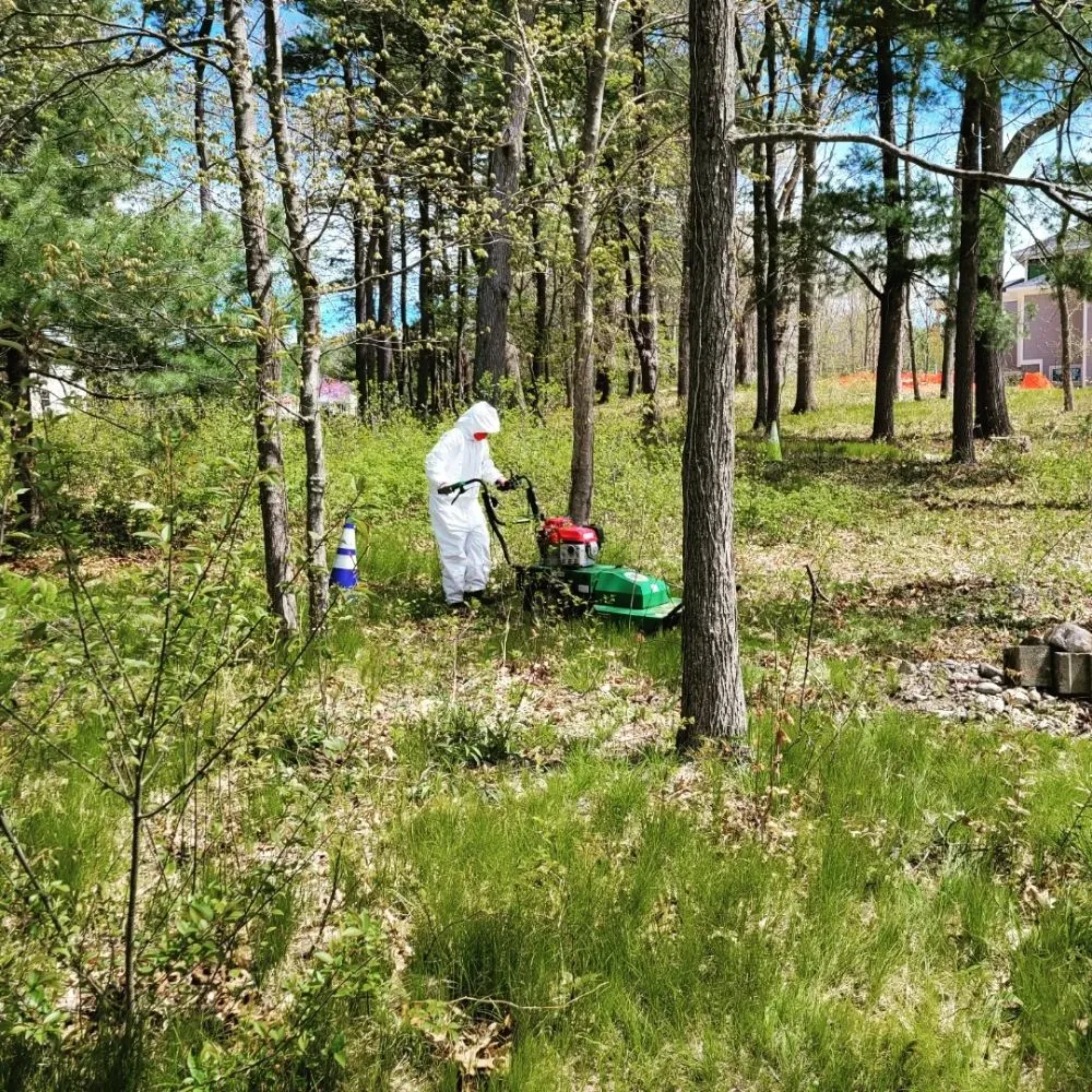 Custom outdoor landscaping in Boston, MA by Roman Tree Services