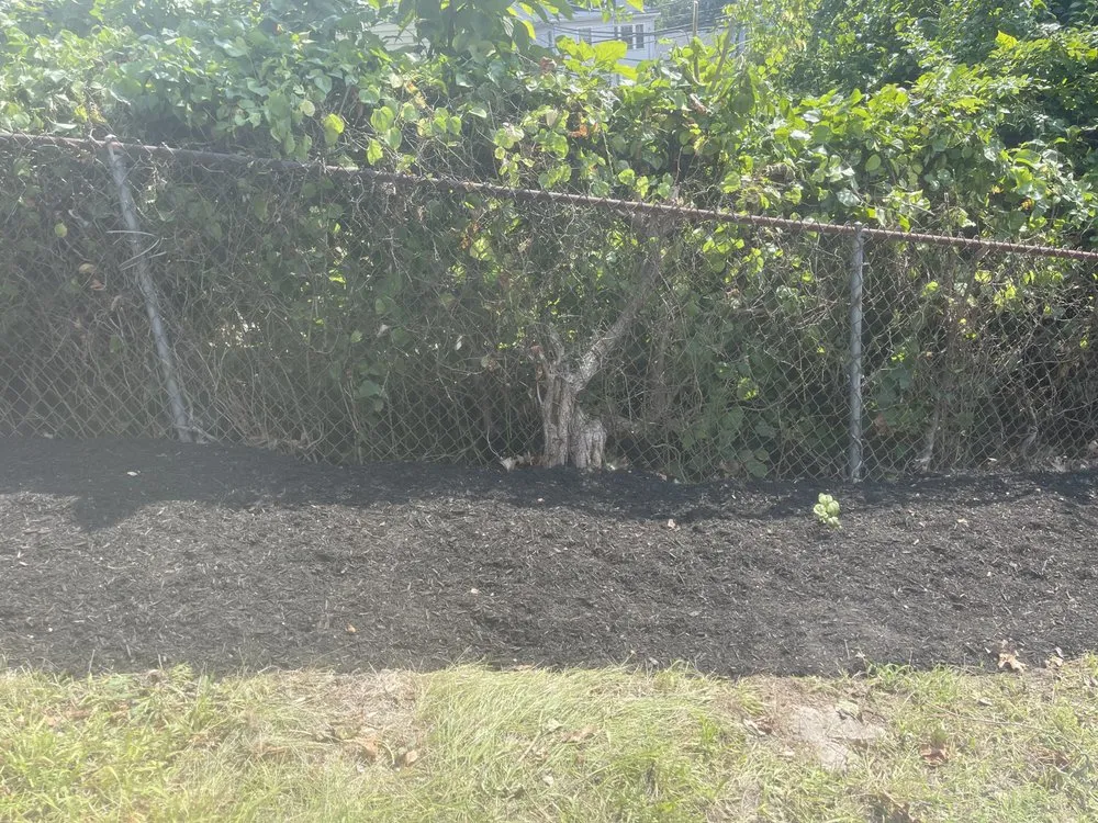 Affordable residential landscaping for year-round maintenance across Boston, MA - Roman Tree Services