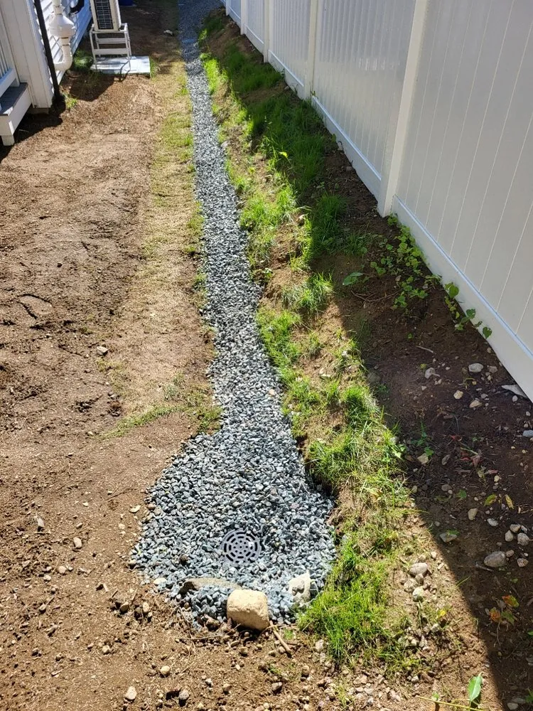 Reliable yard maintenance experts serving Boston, MA - Roman Tree Services