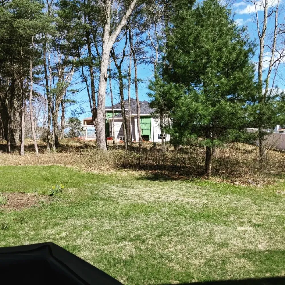 Local yard cleanup service for residential properties in Boston, MA by Roman Tree Services