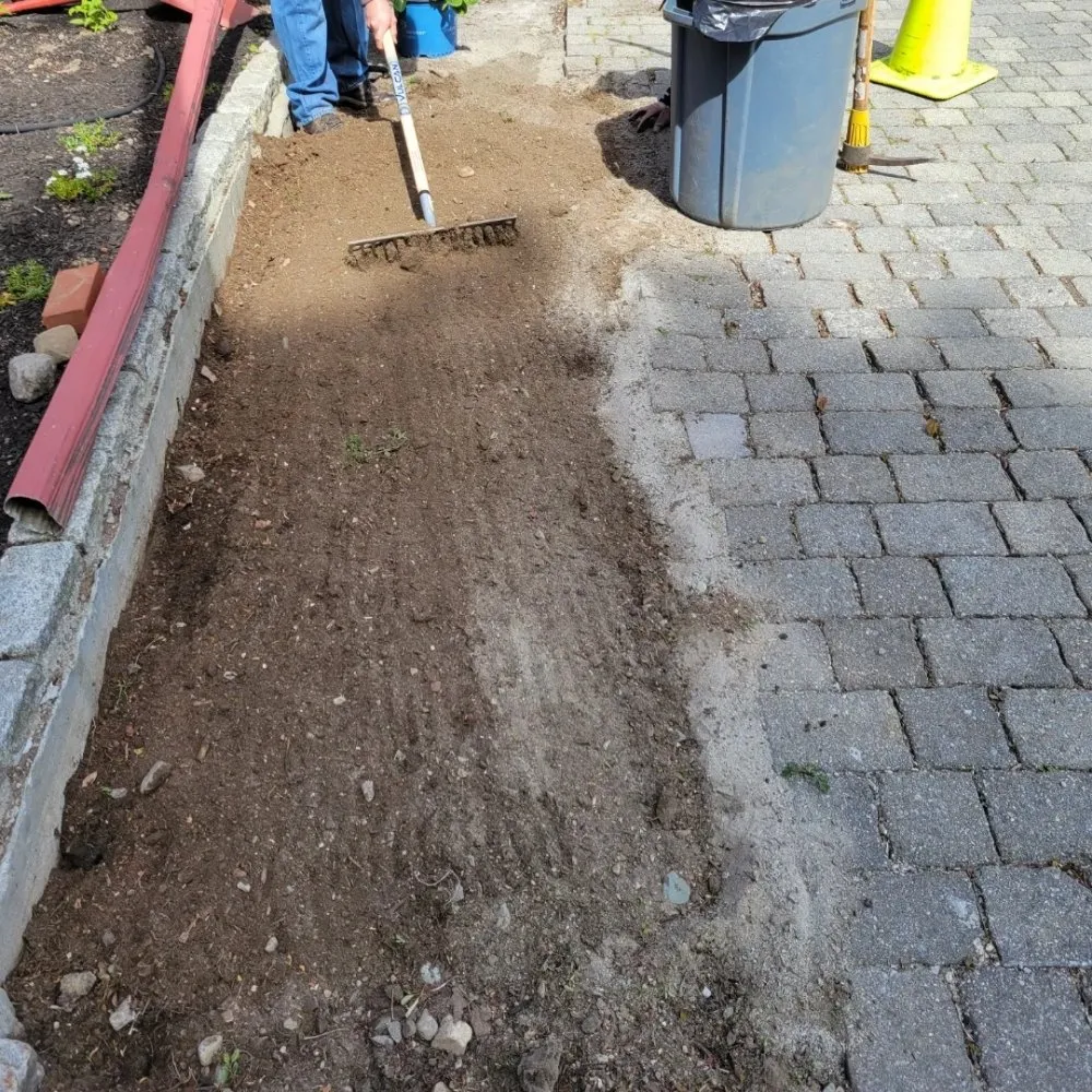 Trusted lawn mowing service for residential properties in Boston, MA by Roman Tree Services