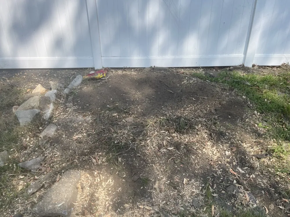 Professional garden landscaping with custom design across Boston, MA - Roman Tree Services