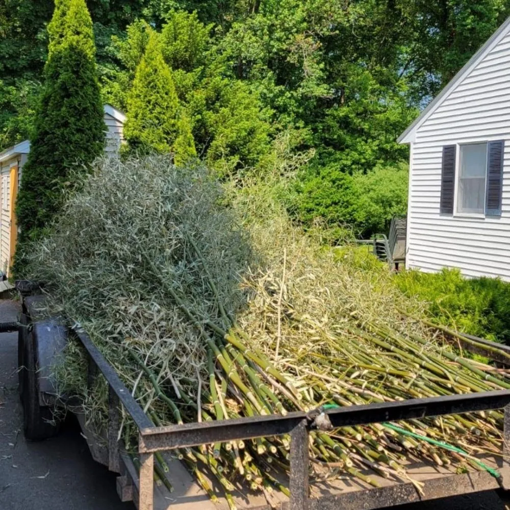 Affordable landscaping services in Boston, MA by Roman Tree Services