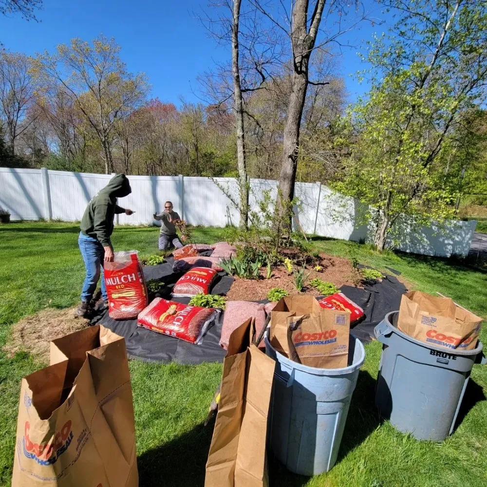 Top-rated garden landscaping in Boston, MA - Roman Tree Services