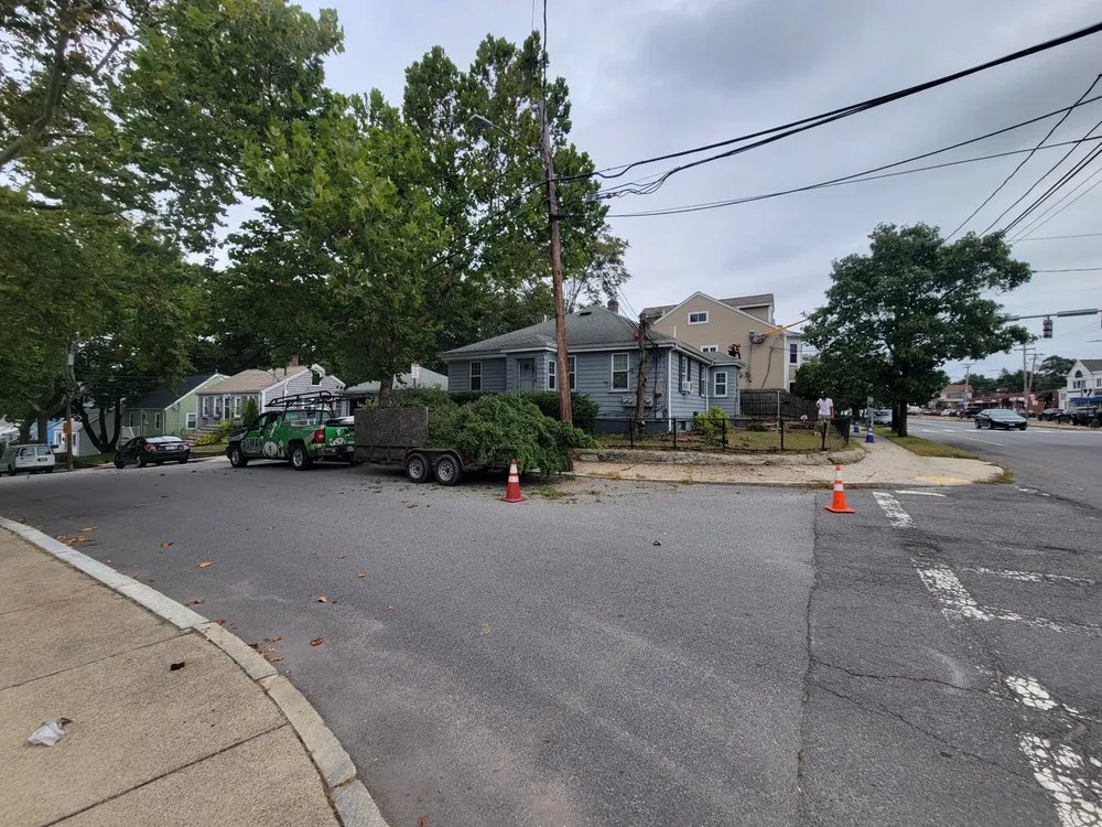 Top-rated landscape design in Boston, MA by Roman Tree Services