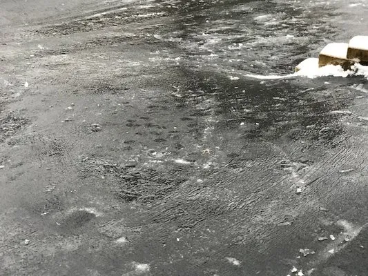 Romano Landscaping Logo