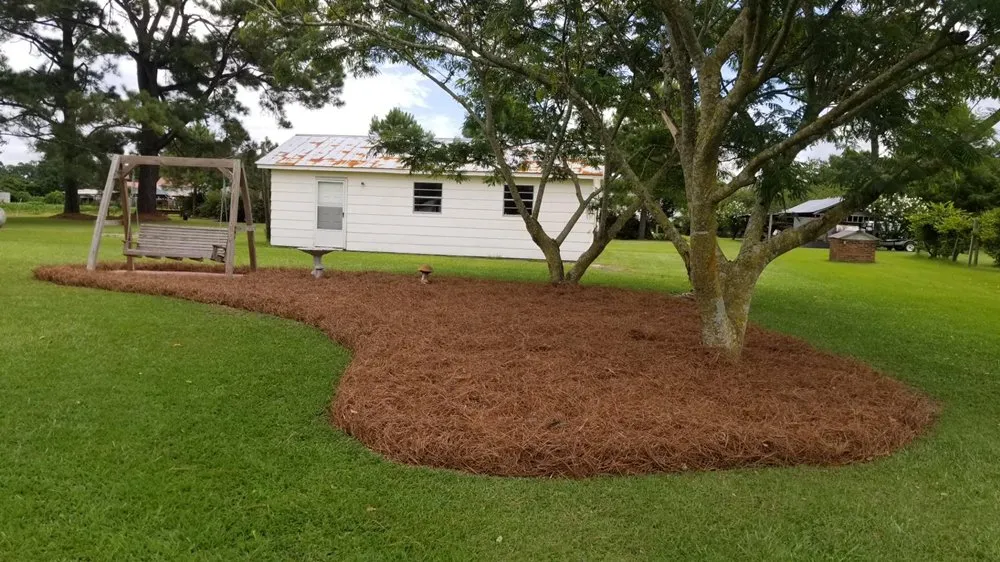 Expert lawn care service with custom design in Magnolia, NC by Roman’s Customized Lawn & Maintenance Care