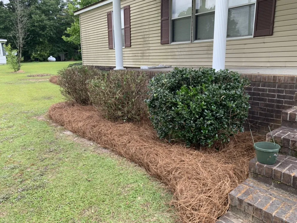 Affordable residential landscaping with custom design in Magnolia, NC by Roman’s Customized Lawn & Maintenance Care