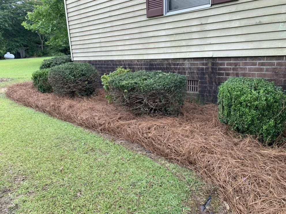 Local yard cleanup service in Magnolia, NC by Roman’s Customized Lawn & Maintenance Care