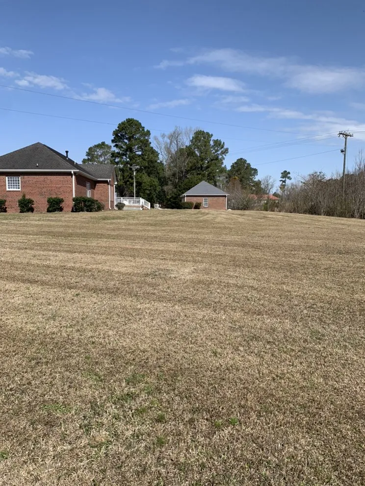 Trusted lawn care service in Magnolia, NC - Roman’s Customized Lawn & Maintenance Care