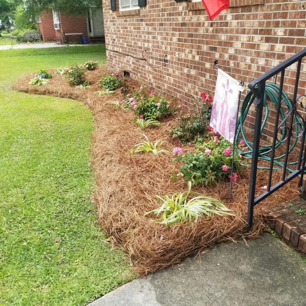Trusted lawn care service in Magnolia, NC by Roman’s Customized Lawn & Maintenance Care