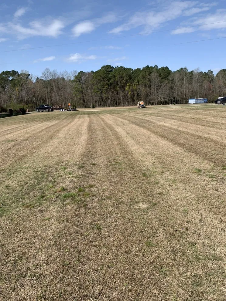 Affordable garden landscaping experts serving Magnolia, NC - Roman’s Customized Lawn & Maintenance Care
