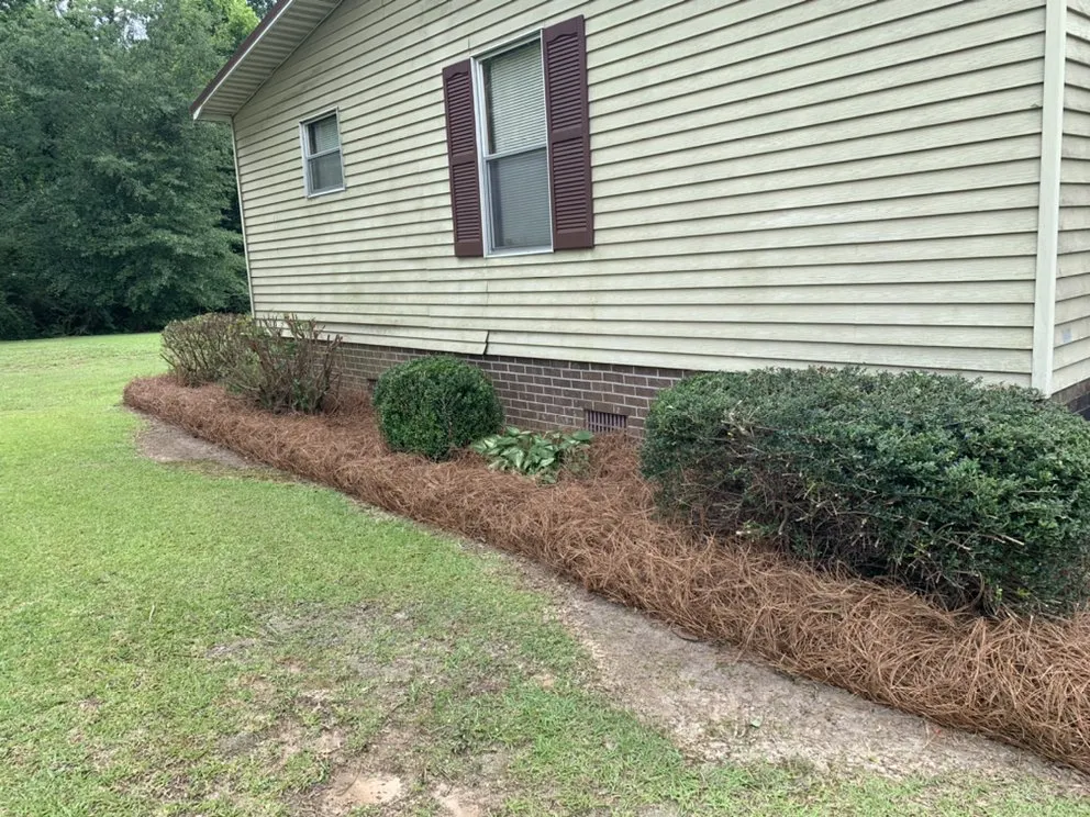 Reliable landscape installation for beautiful yards across Magnolia, NC - Roman’s Customized Lawn & Maintenance Care