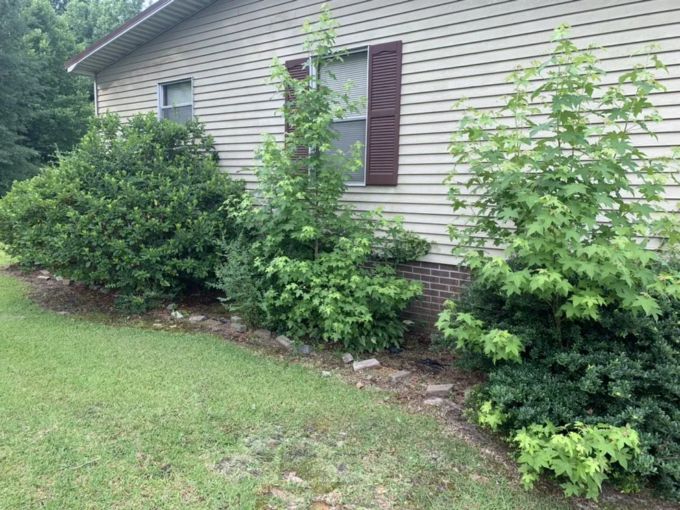 Affordable outdoor landscaping experts serving Magnolia, NC - Roman’s Customized Lawn & Maintenance Care